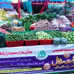 Model Bazaars' Free Home Delivery Initiative Sets New Standard for Public Service