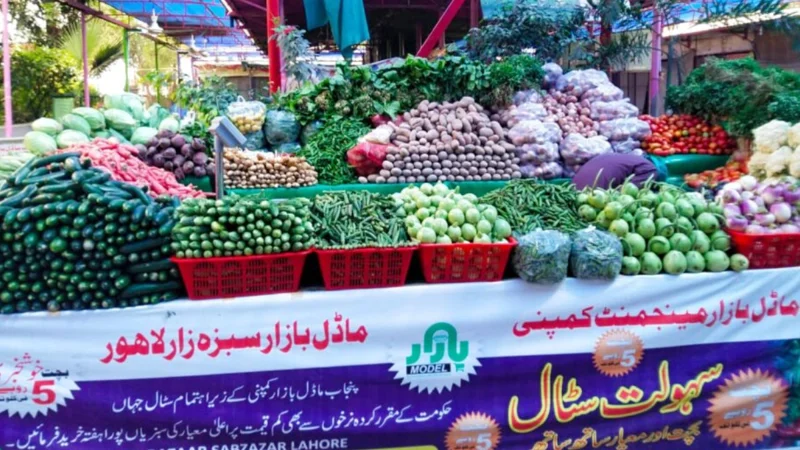 How PMBMC Created Jobs and Boosted Public Welfare Across Punjab