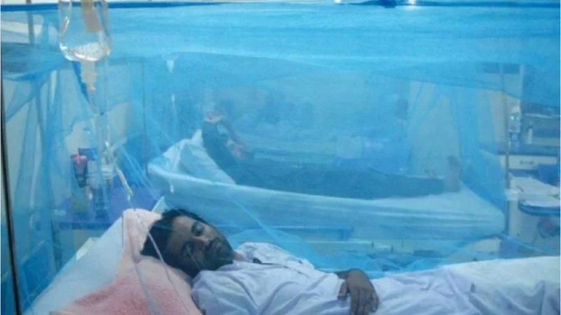 Punjab reports 149 new dengue cases in 24 hours