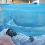 Punjab reports 149 new dengue cases in 24 hours