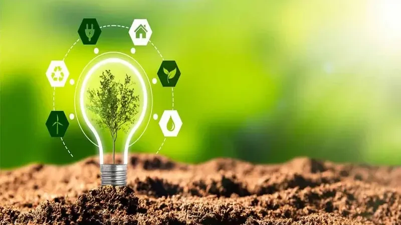 Sustainable Living: Small Changes, Big Impact