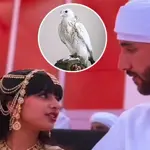 Rare white falcon’s Dh1.5 million sale at 'ADIHEX' 2026 breaks the internet