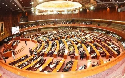 Constitutional amendments: Senate and National Assembly sessions delayed for third time