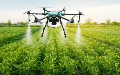 Use of technology can benefit farmers, enhance food security: Experts