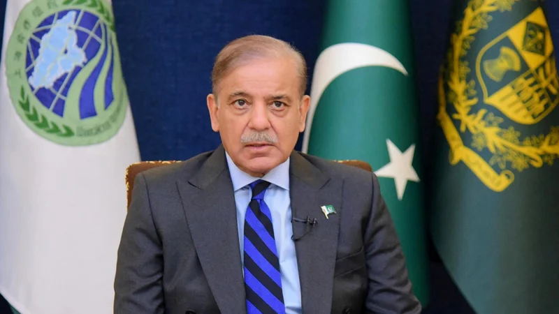 Govt will not sit idle until virus eliminated from country: PM
