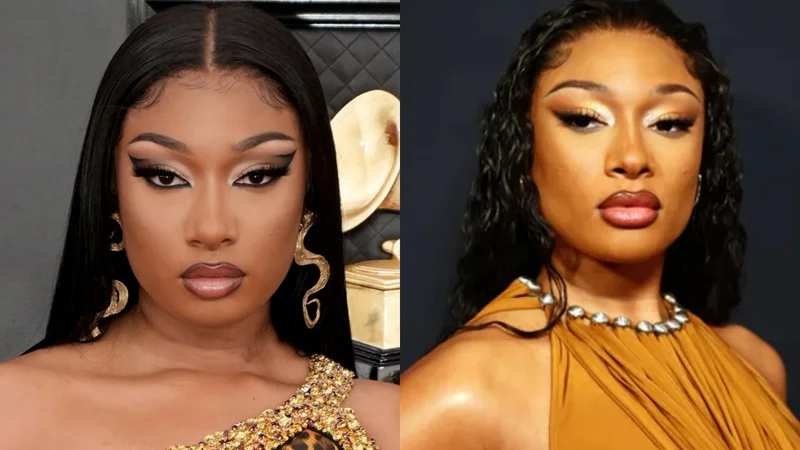 Why Megan Thee Stallion rejected documentary plans?