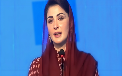 '1,000 super seeders will be provided to farmers across Punjab,' Maryam Nawaz