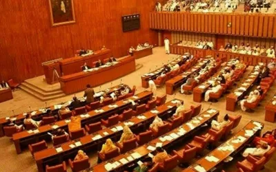Senate body agrees to increase number of SC judges to 25