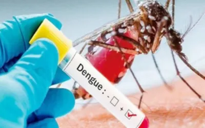 Punjab reports 110 new dengue cases