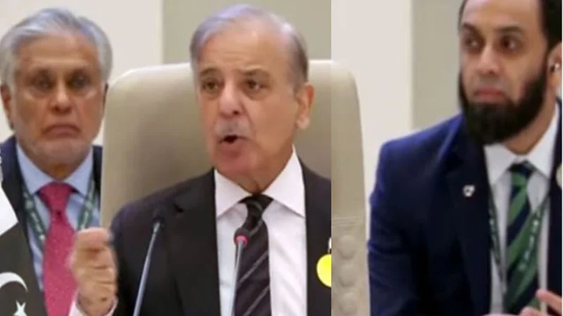 'Humanity is being tested and failing in Gaza': PM Shehbaz Sharif