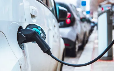 Govt announces tax breaks, lower duties for New Energy Vehicles