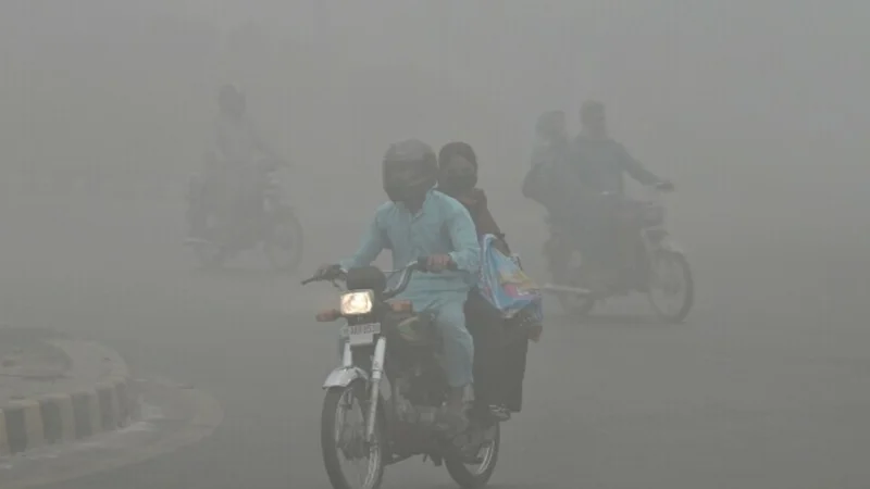 Smog to persist in major cities in Nov, Dec: NDMA