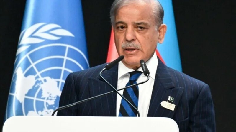 COP-29 Summit: Pakistan faces %30b loss due to floods: PM
