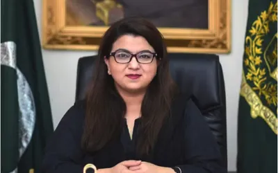 IT Minister Plans to Leverage TikTok for Educational Purposes