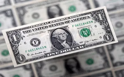US dollar rate in Pakistan on November 25 Nov, 2024