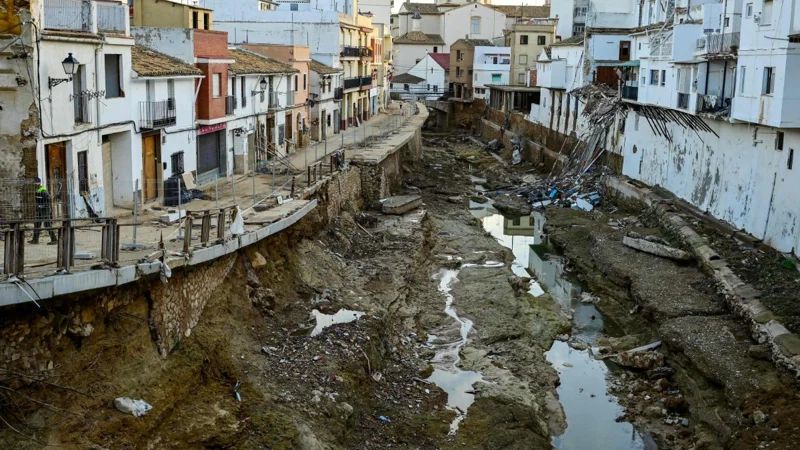 $310 billion lost globally to natural disasters in 2024