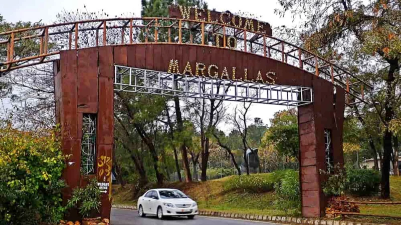 SC seeks report from CDA on illegal constructions in Margala Hills