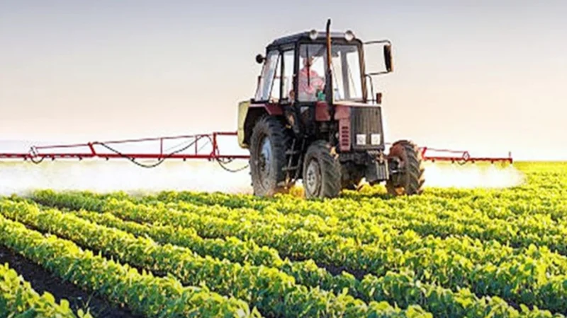Significant Surge in Pakistan’s Agricultural Exports