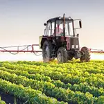 Significant Surge in Pakistan’s Agricultural Exports