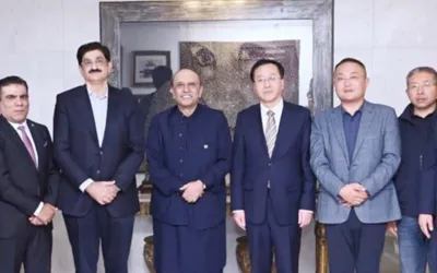 President calls for greater Chinese investment in diverse sectors