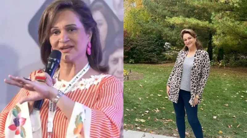 Bushra Ansari challenges artists to aim higher in their craft