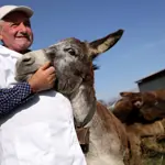 Donkey milk makes waves in Albania as demand for donkey milk products increase