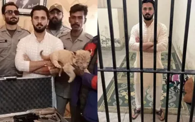 Rajab Butt arrested for Illegal weapon display and possession of Lion Cub