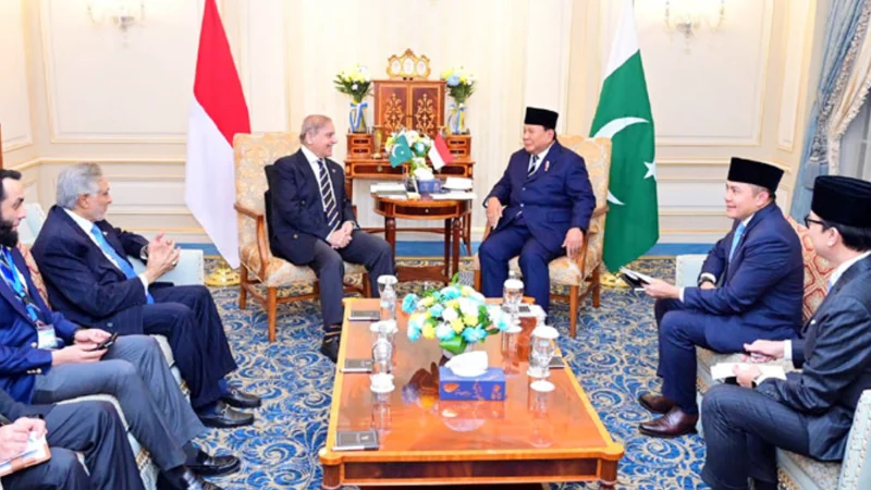 PM Shehbaz meets Indonesian President in Cairo, strengthens bilateral ties