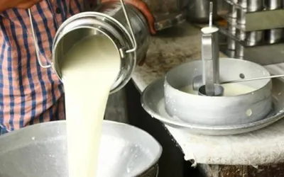 Fines imposed on Karachi dairy associations for milk price hike
