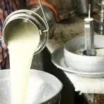Fines imposed on Karachi dairy associations for milk price hike
