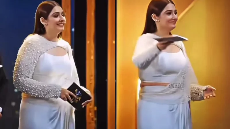 Durefishan Saleem's recent outfit choice disappointed her fans