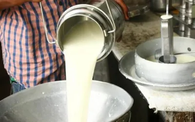 Karachi braces for milk price increases; dairy farmers issue alert