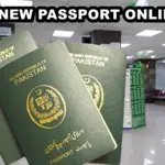 Online Passport Renewal in Pakistan with Free App; details here