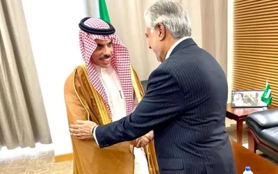 FM Ishaq Dar meets with Saudi counterpart on sidelines of 15th OIC meeting