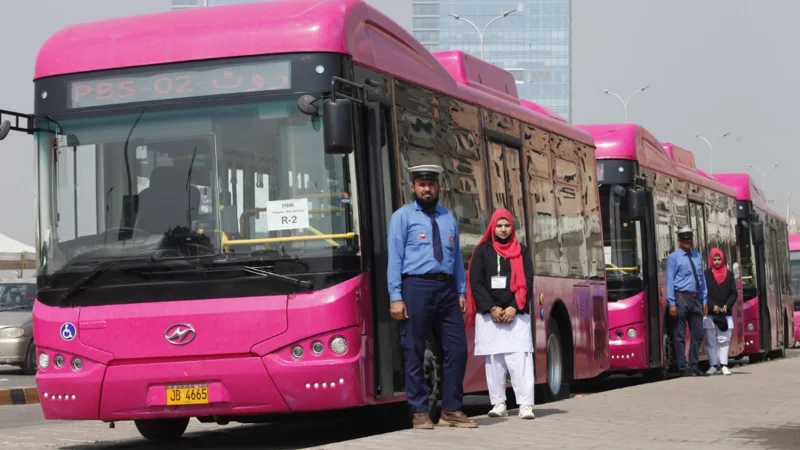 Govt set to introduce free 'Pink Bus Service' for women educators and students