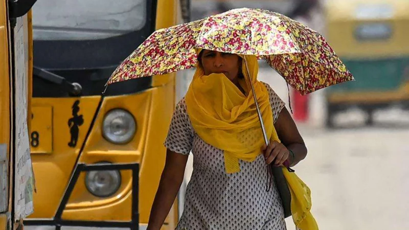 PDMA alerts for heat wave, stormy rains in Punjab