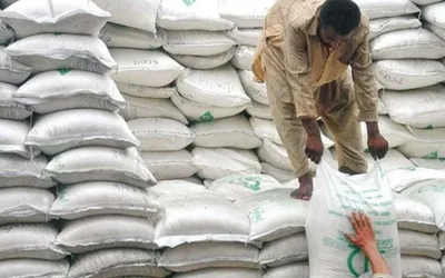 Flour prices decrease in Punjab; check details here