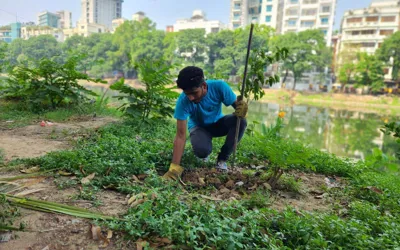 Bangladeshi Influencers promotes tree planting champion to combat record heat