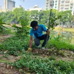 Bangladeshi Influencers promotes tree planting champion to combat record heat