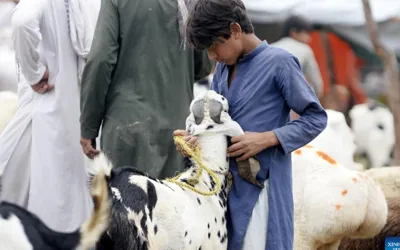 Eid al-Adha 2024 expected date in Pakistan