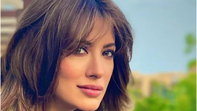 Mehwish Hayat