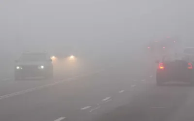 Fog Alert for Motorists in Abu Dhabi