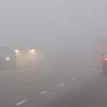 Fog Alert for Motorists in Abu Dhabi