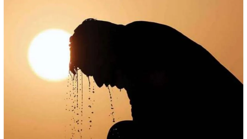 Punjab Experience Heatwave with Temperatures 6-8°C Above Normal