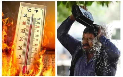 Heatwave Alert! Punjab to Heat Up After Weekend Rains!