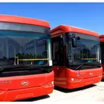 Peoples Bus Service to Expand Its Operations: Linking Sukkur & Larkana