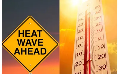 Karachi Heatwave Alert: PMD Issues Safety Precautions!