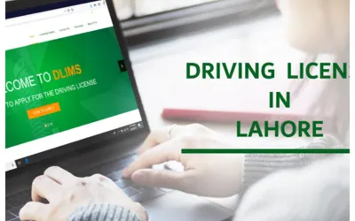 Punjab Driving License Online Verification 2024: ﻿Details Inside!