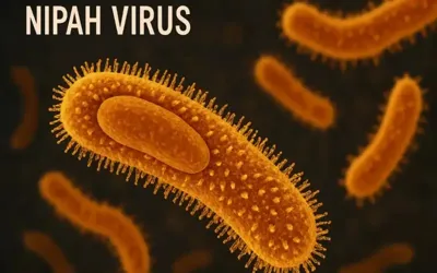 Nipah virus cases reported in India’s west Bengal, health alert issued