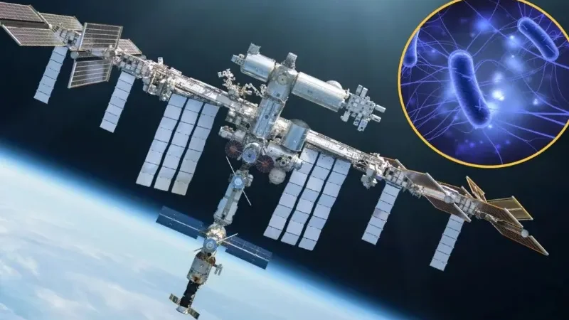 space